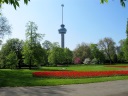 Rotterdam